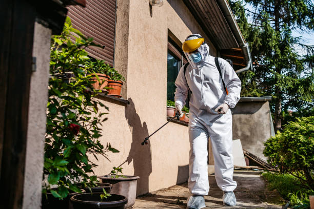 Best Ant Control Services  in Woodbine, GA