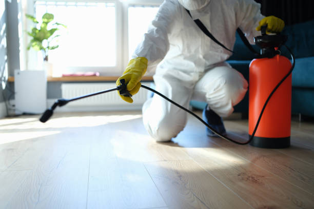 Best Wasp Removal Services  in Woodbine, GA