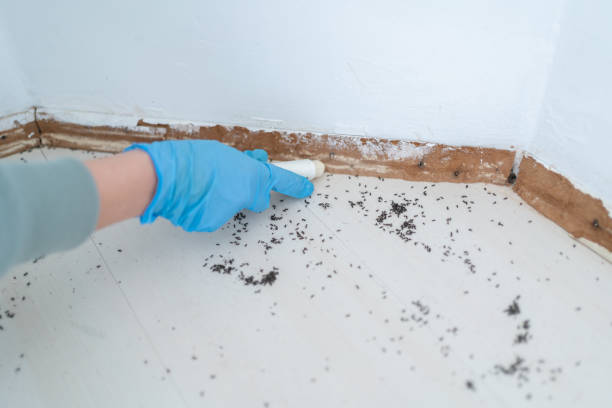 Best Pest Prevention Services  in Woodbine, GA